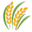 Do%20Campo%20Consultoria%20e%20Agricultura%20de%20Precisão